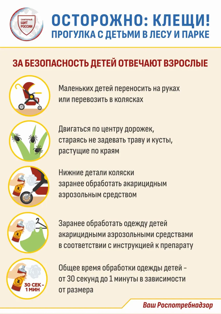 Рекомендации по профилактике клещевых инфекций 